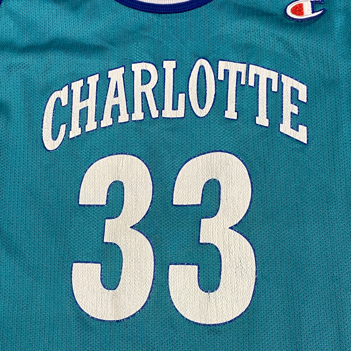 Alonzo Mourning Vintage 90's Charlotte Hornets Champion Made in